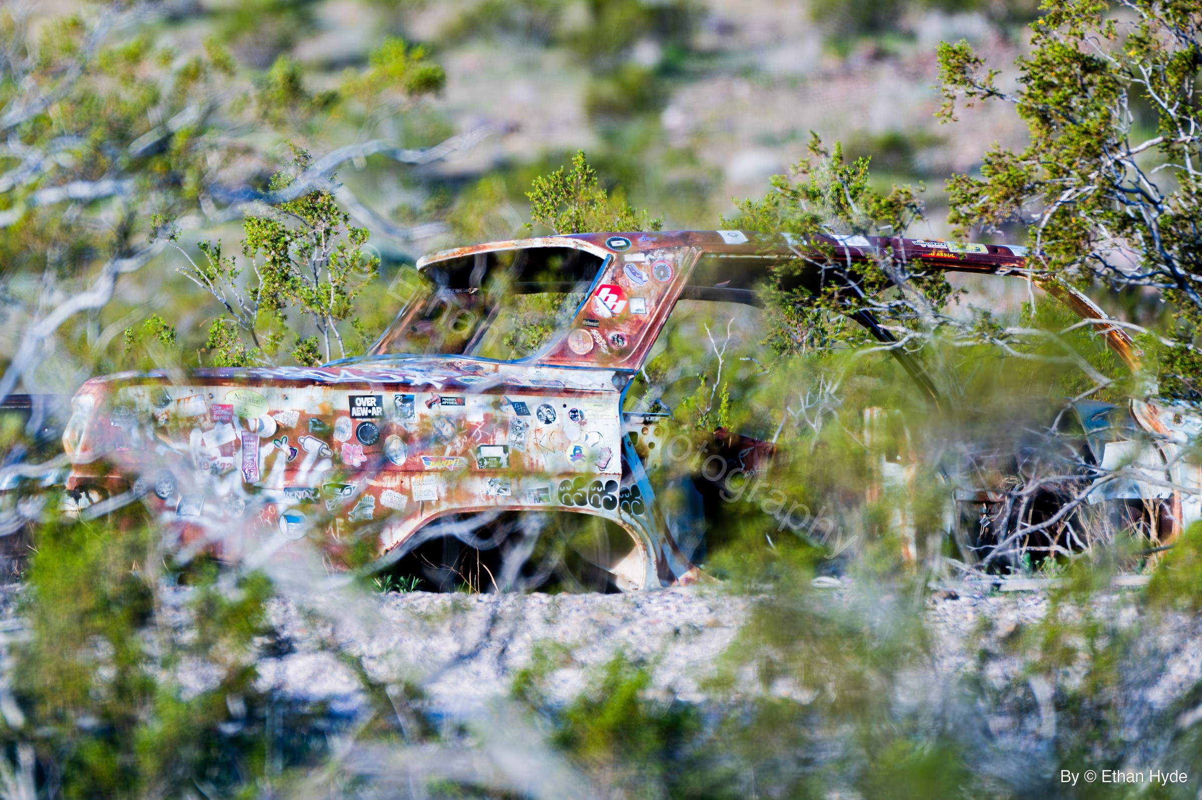 An abandoned car covered in faded stickers and rust, half-swallowed by desert brush.