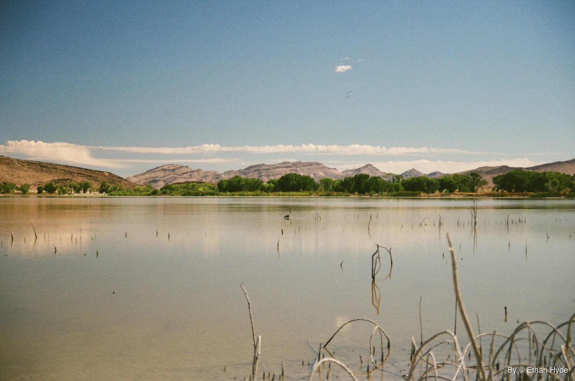A still lake ringed by green trees and desert hills at Pahranagat National Wildlife Refuge, Nevada, shot on film.