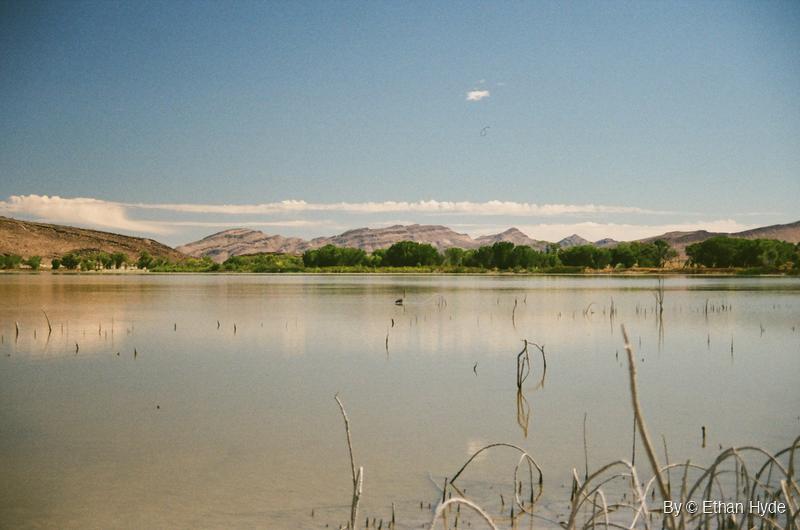 A still lake ringed by green trees and desert hills at Pahranagat National Wildlife Refuge, Nevada, shot on film.
