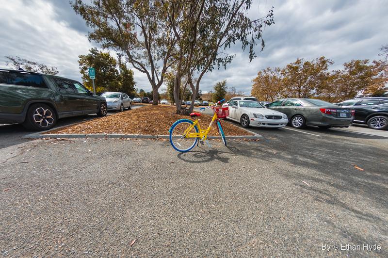 A yellow Google campus bike with blue and green wheels parked alone in a lot under a eucalyptus tree.