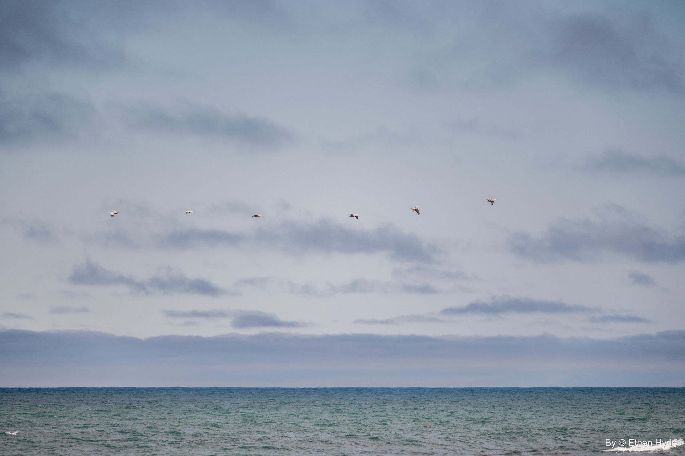 A line of seabirds crosses a soft gray-blue sky above the open Pacific off Spooner's Cove.