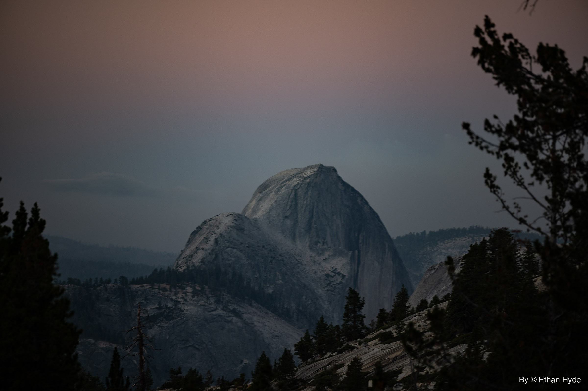 Half Dome's granite face in blue early-morning light beyond dark pine silhouettes, under a smoky pink and gray sky.