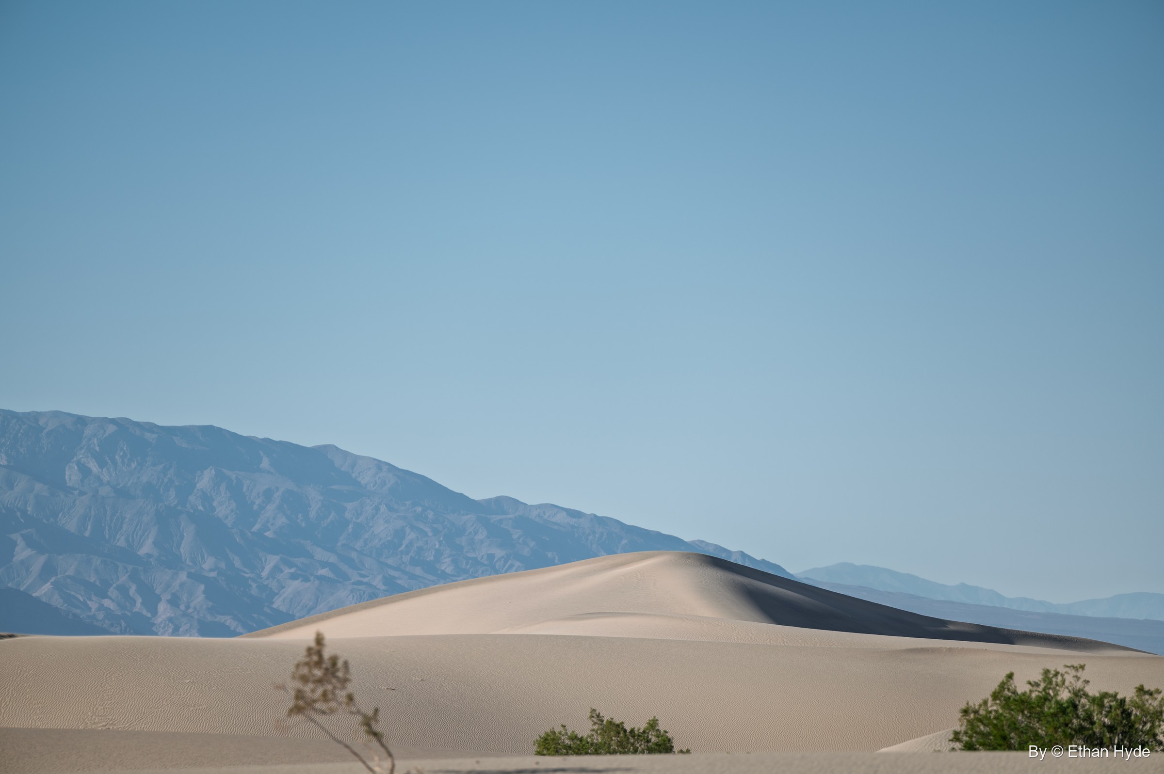 A smooth sand dune crest in front of hazy blue mountains, with creosote shrubs in the foreground.