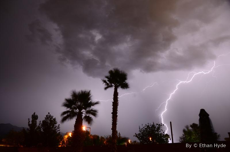 Lightning over silhouetted palm trees in a dark desert sky.