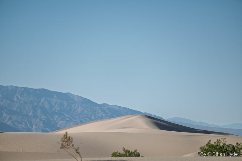 A smooth sand dune crest in front of hazy blue mountains, with creosote shrubs in the foreground.
