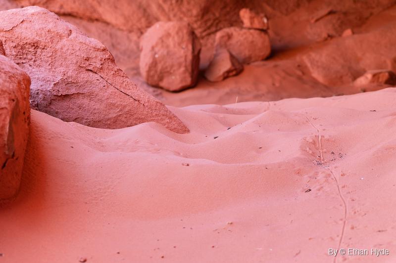 Mounded red sand spreads between sandstone boulders, with a thin line of small tracks and a tail drag along the right side.