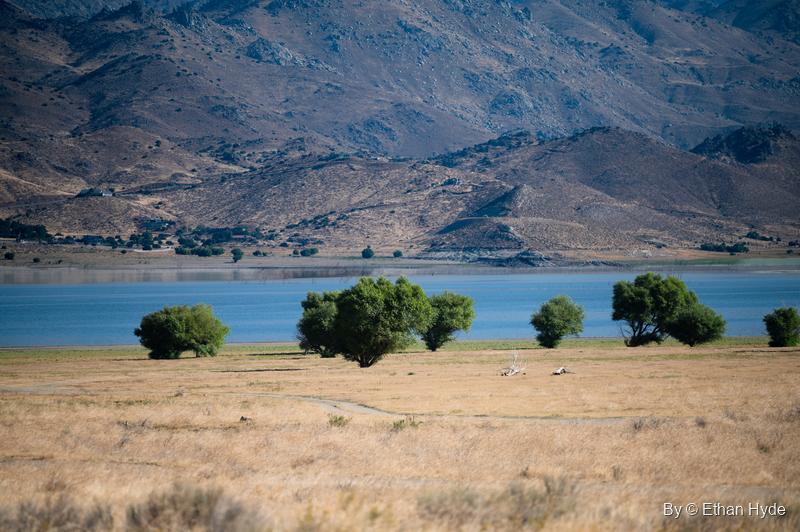 A row of green trees on a dry golden shore in front of blue Lake Isabella and brown mountains.