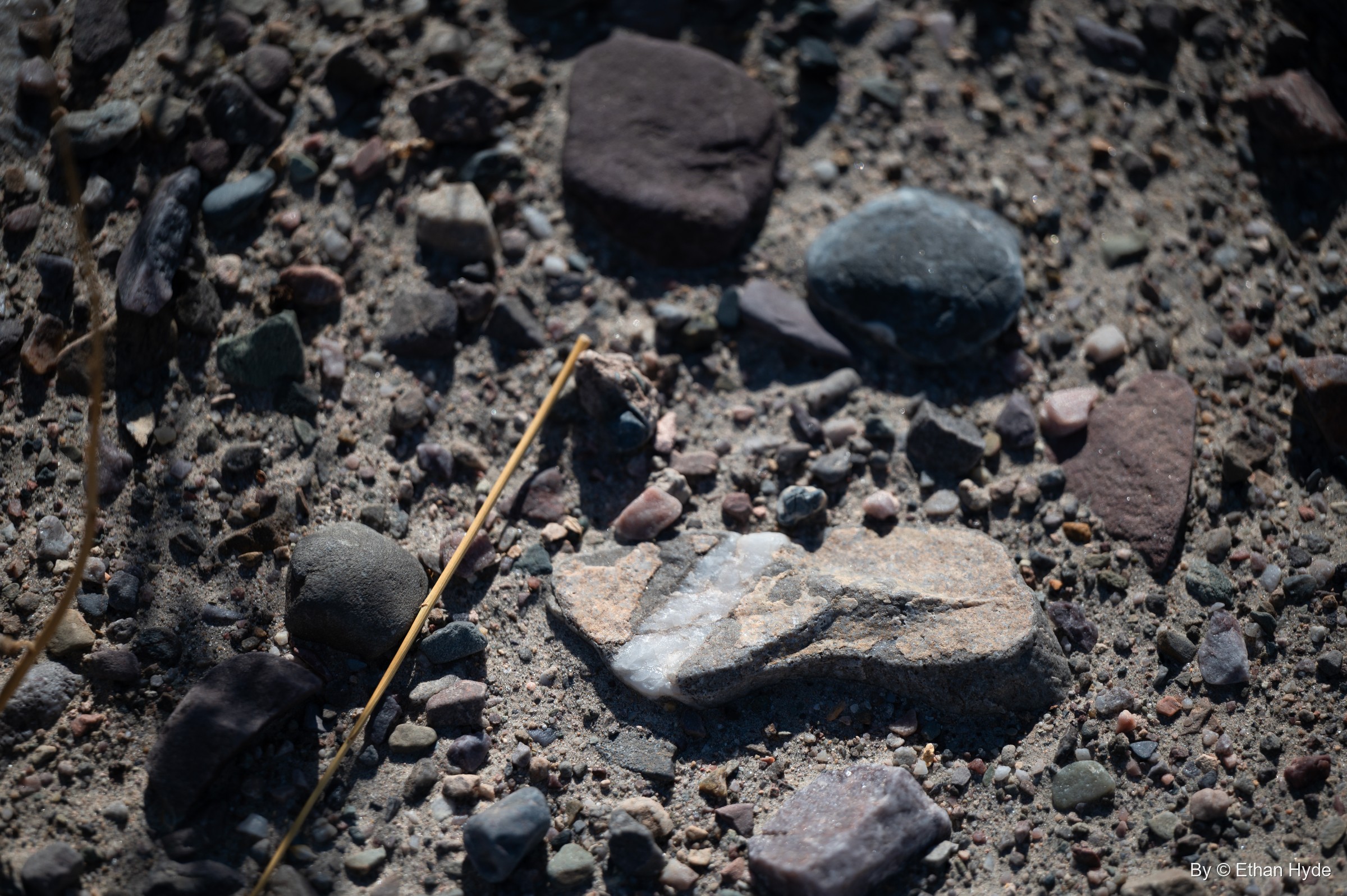 Close-up of rounded stones in purple, green and gray on dark desert gravel, with a dry grass stem across them.