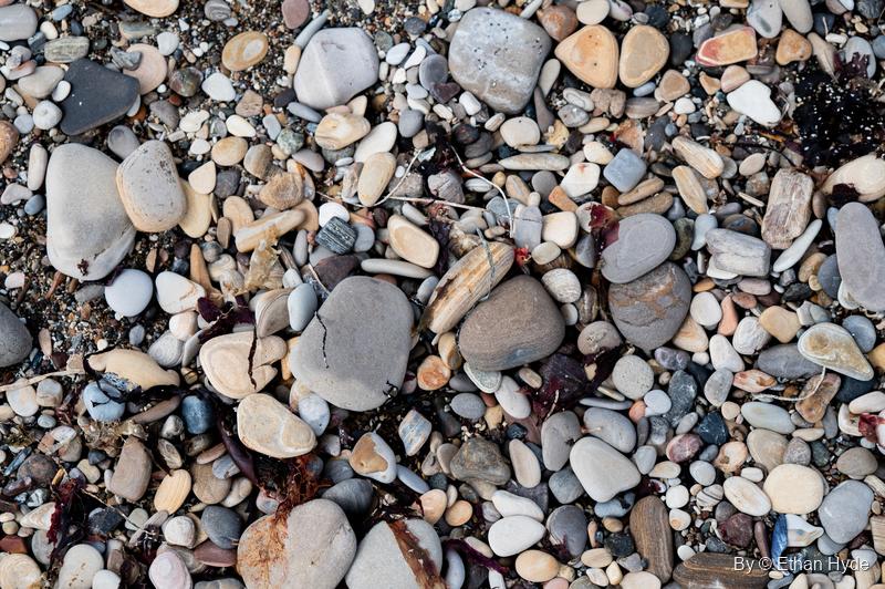 A beach of smooth, multicolored pebbles and cobbles with bits of seaweed at Spooner's Cove.