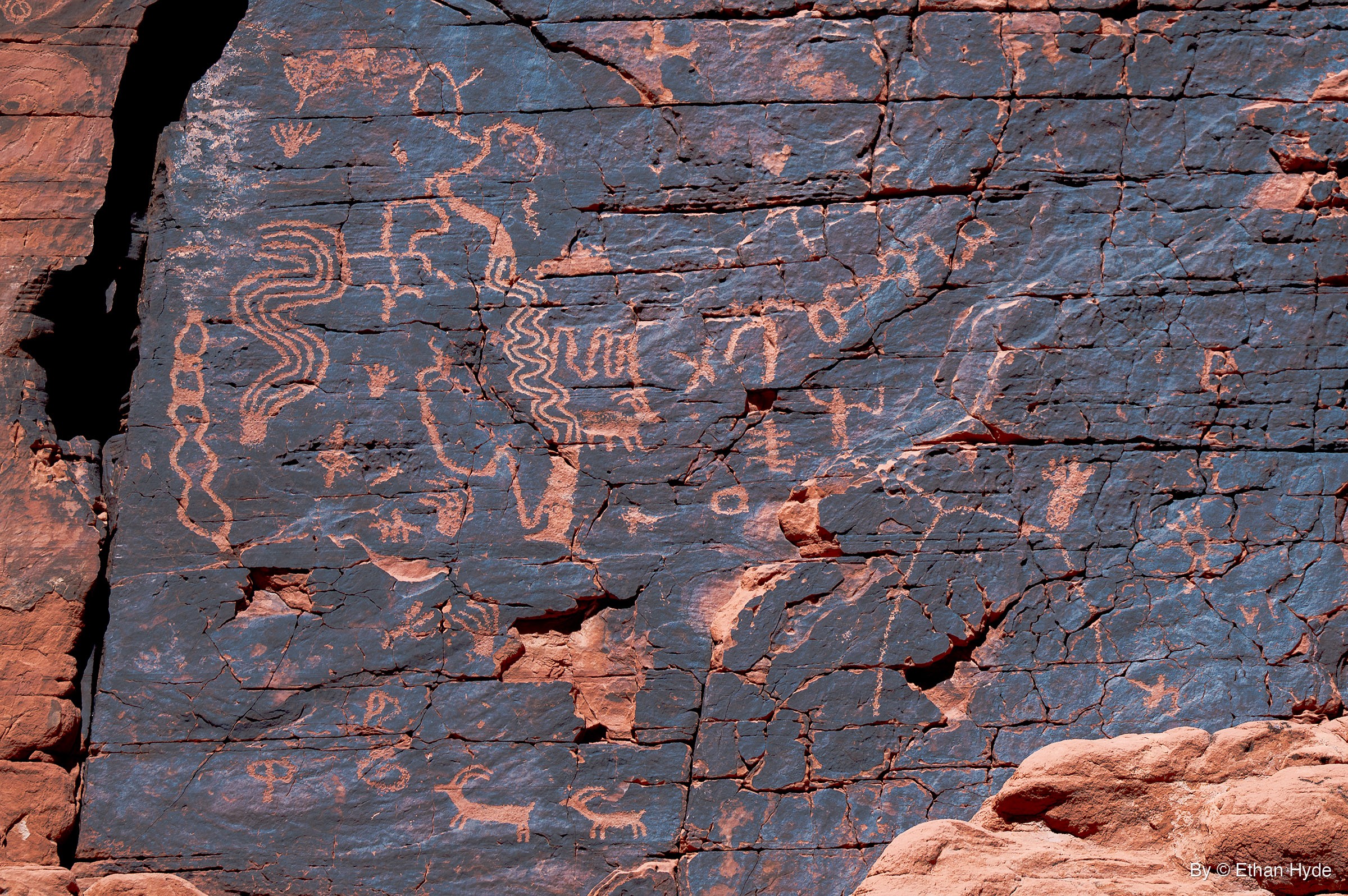Dark varnished sandstone face covered in pecked petroglyphs: wavy lines, a chain-like column, curling shapes and two small horned animals near the bottom.