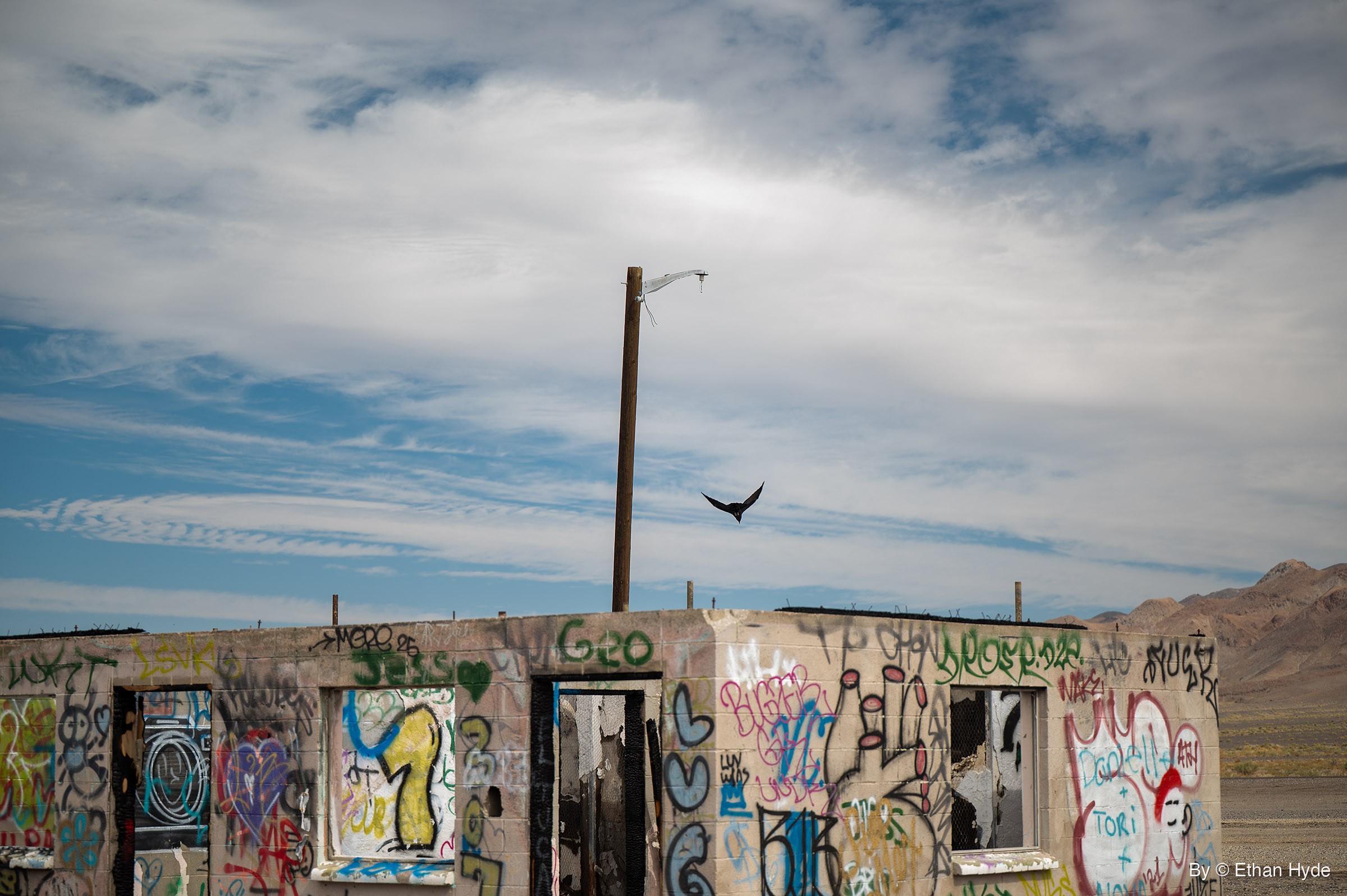 A black bird flies over a graffiti-covered concrete ruin beside a tall wooden pole with a scrap of white fabric at the top, under streaked white clouds.