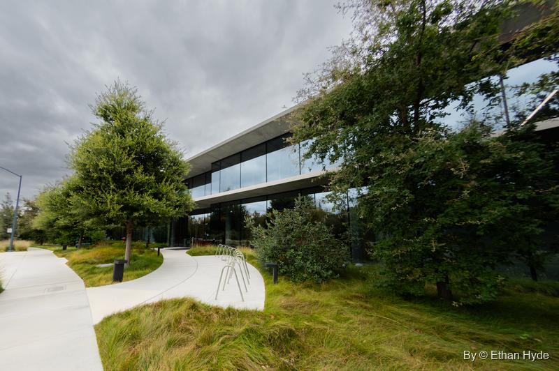 Fisheye view of the glass-walled Apple Park Visitor Center behind trees, with curving white paths through grasses.
