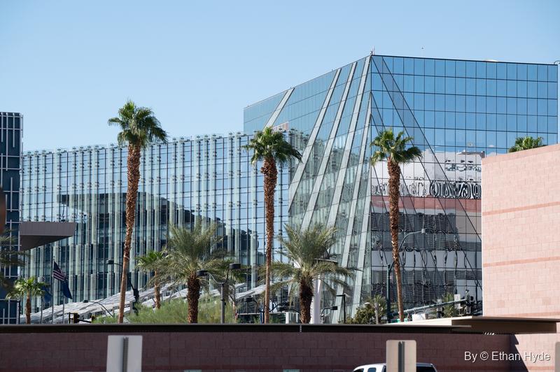 Angled glass curtain walls of a modern downtown building behind a row of palm trees under a clear sky.