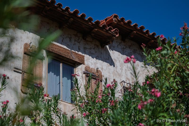 A stucco wall of Scotty's Castle with wooden shutters and a window, half hidden behind flowering pink oleanders.
