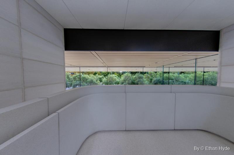 From a pale stone stairwell, a band of glass frames the treetops outside the Apple Park Visitor Center.